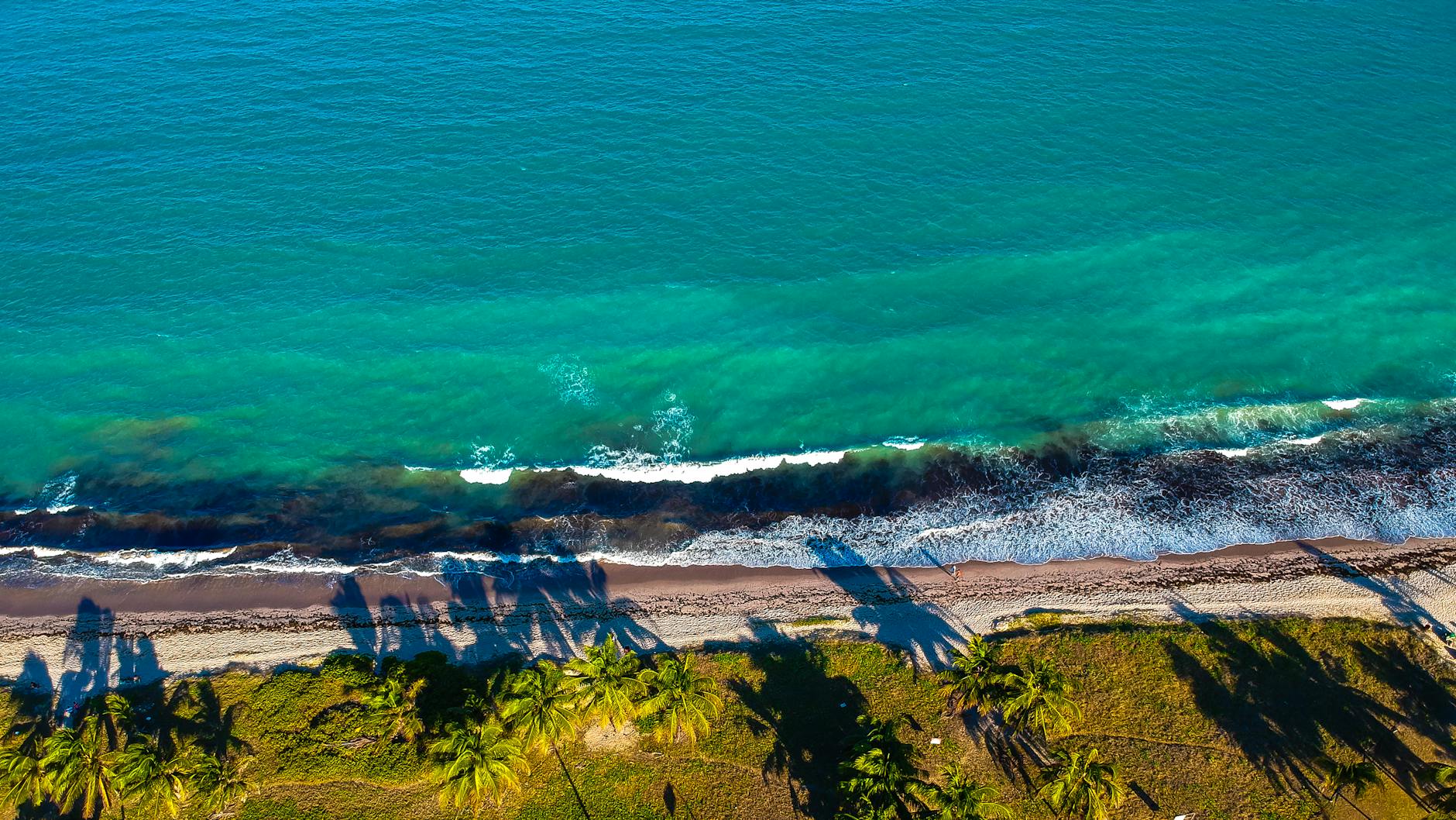 Miami ocean waves
